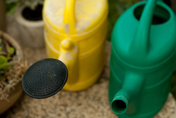 Colorful watering cans stock photo