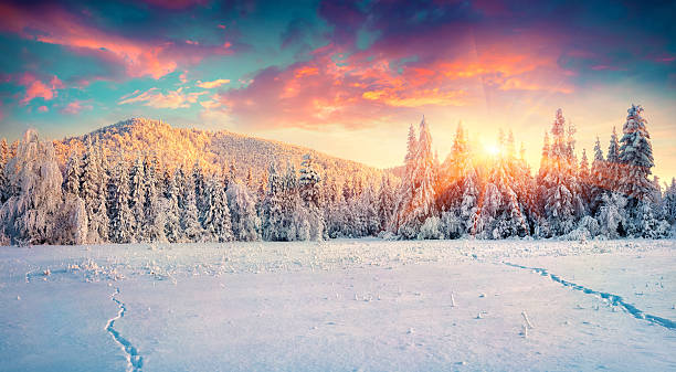 Colorful winter panorama in the Carpathian mountains. stock photo