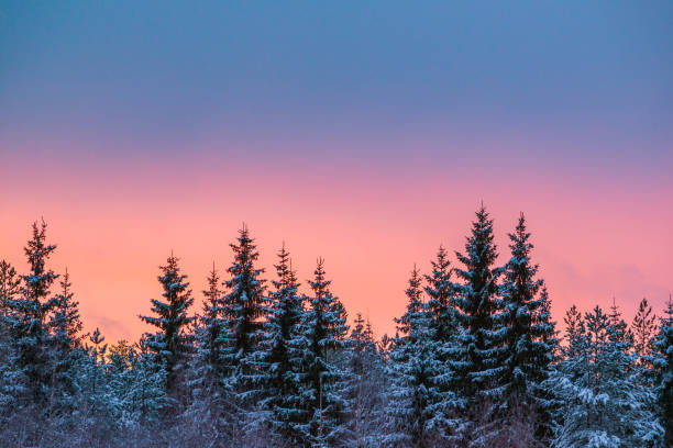 Colorful winter stock photo