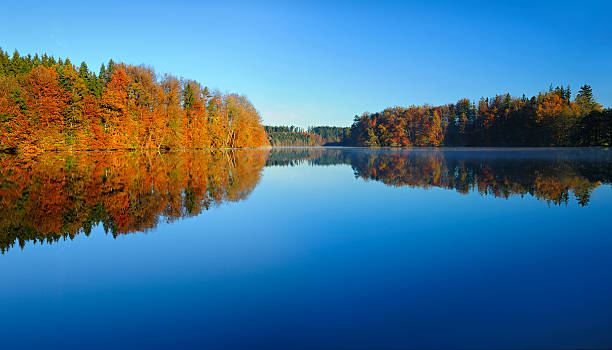 Colourful Autumn Forest reflecting in Calm Lake at Dawn stock photo