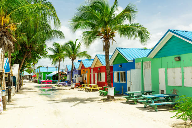 case colorate sull'isola tropicale delle barbados - barbados foto e immagini stock