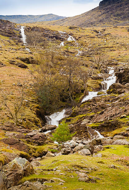 Comb Beck Gill, Buttermere "Falls into Lake Buttermere, English Lake District" free.porn stock pictures, royalty-free photos & images