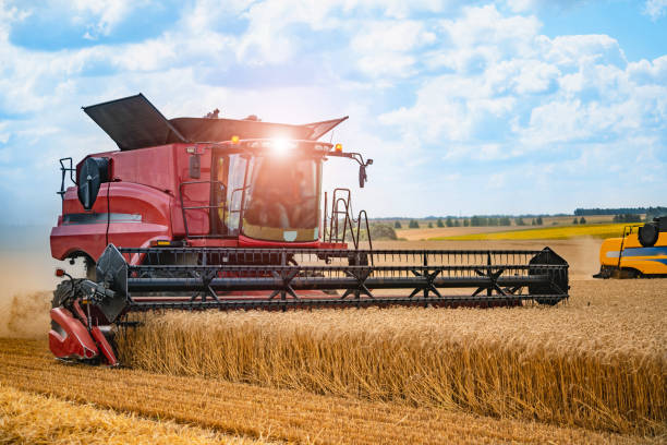 Combine harvester in action on wheat field. Combine harvester in action on wheat field. Process of gathering a ripe crop from the fields. Closeup crop yield stock pictures, royalty-free photos & images