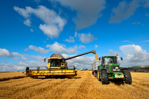 Rothenburg/Saale, Germany - July 12, 2012: Combine Harvester unloads Grain into Tractor Trailer under Cloudy Blue Sky