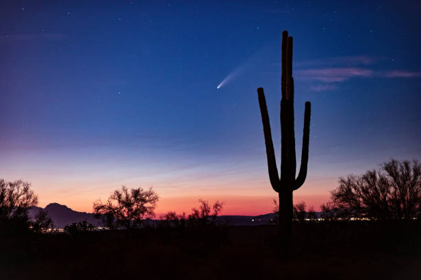 Comet Neowise Comet Neowise soars across the night sky in the desert near Phoenix, Arizona. sonoran desert photos stock pictures, royalty-free photos & images