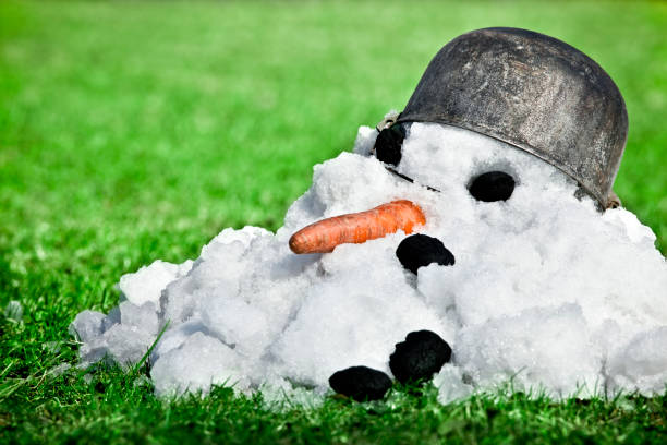 Coming spring Melting snowman in spring on green grass. Canon 1Ds Mark III melting snow man stock pictures, royalty-free photos & images