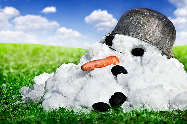 Coming spring Funny concept of melting snowman in spring on green grass. Canon 1Ds Mark III melting snow man stock pictures, royalty-free photos & images