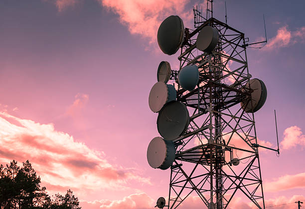 Communication and transmission tower for military use Communication and transmission tower for military use over a magenta sky animal antenna photos stock pictures, royalty-free photos & images