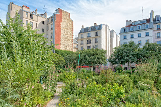 Community Garden in Paris Le Poireau Agile Community Garden in Paris urban garden stock pictures, royalty-free photos & images