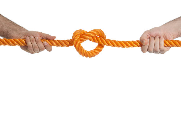 Competition Two hands pulling a rope in opposite direction hands tied up stock pictures, royalty-free photos & images