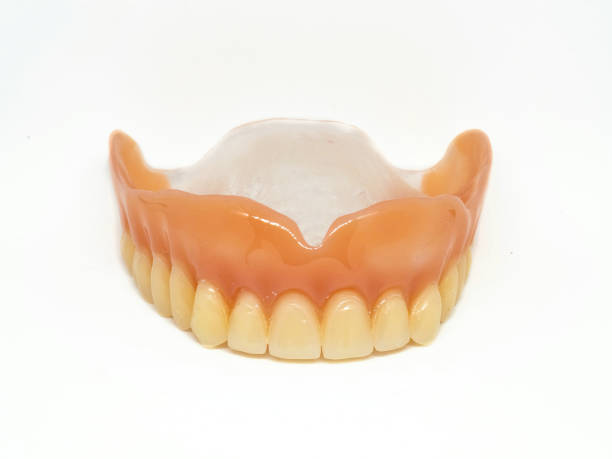 Upper Denture Stock Photos Pictures And Royalty Free Images Istock