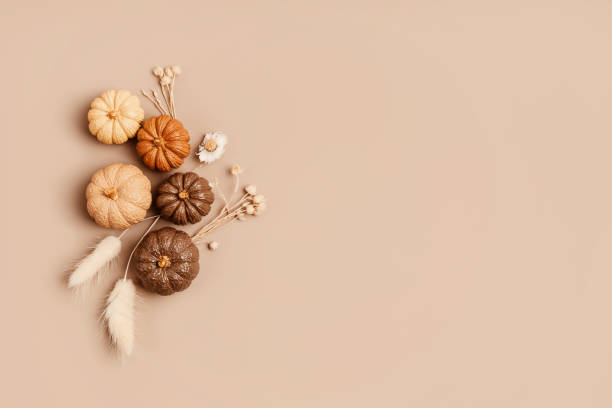 Composition of handmade plaster pumpkins. Autumn seasonal holidays background in natural colors stock photo