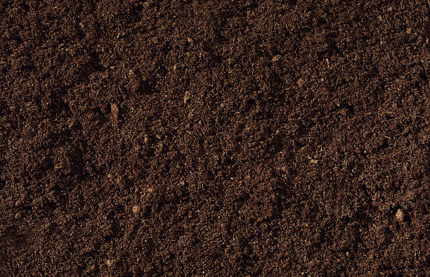 Compost Background A close-up view of dark rich compost material. compost stock pictures, royalty-free photos & images