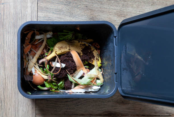 compost bin stock photo