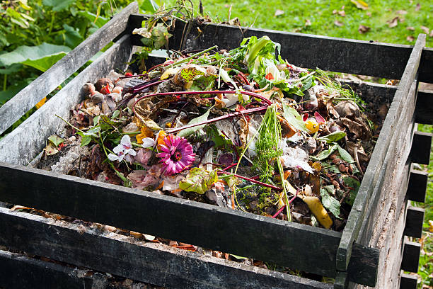 Compost bin stock photo