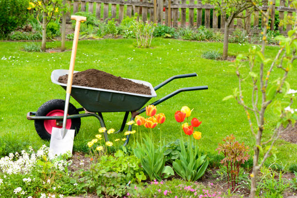 Compost Wheelbarrow with compost for the flowerbeds vegetable garden stock pictures, royalty-free photos & images