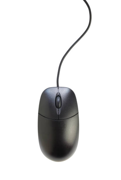 computer mouse isolated on white background stock photo