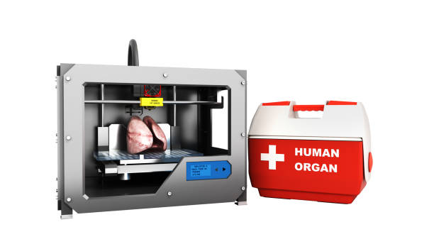 concept of transplantation process of creating human hearts using 3D printer illustration isolated on white background stock photo