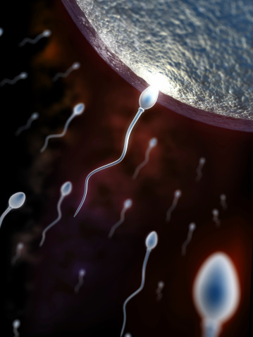 conception Sperm in