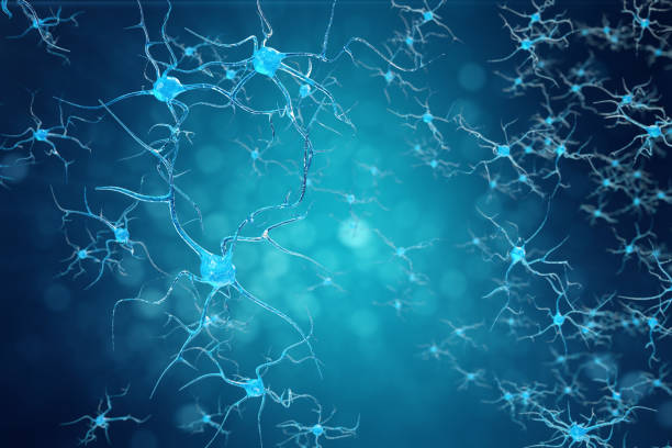 Conceptual illustration of neuron cells with glowing link knots. Synapse and Neuron cells sending electrical chemical signals. Neuron of Interconnected neurons with electrical pulses. 3D illustration stock photo