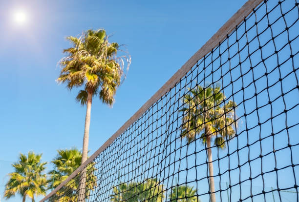 Conceptual sporty view of a tennis net on a background of palm trees and bright sun. stock photo