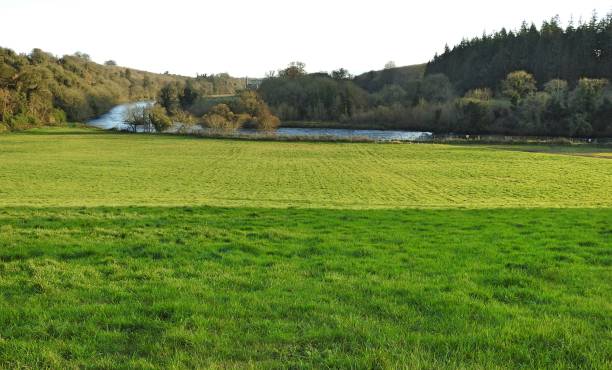 Concert venue field A natural amphitheatre field, used as an annual outdoor concert venue. The River Boyne is in the background, in Slane, County Meath, Ireland. bruce springsteen stock pictures, royalty-free photos & images