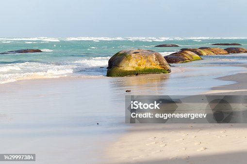 istock Concrete breakwaters of Bavaro Beach on a sunny day 1429997384
