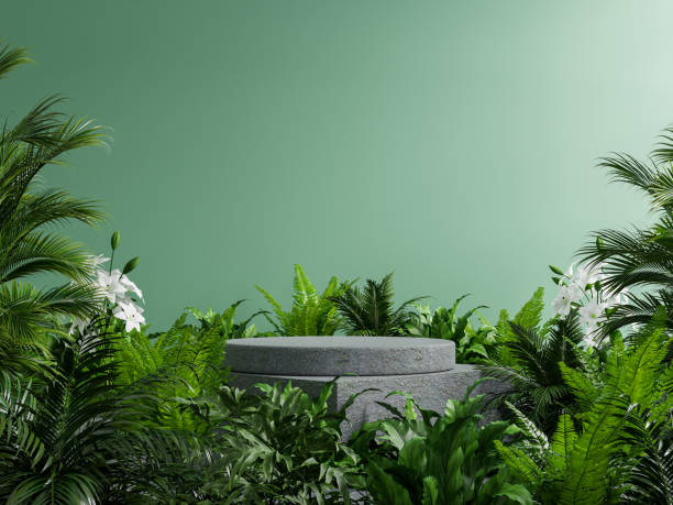 podium en béton en forêt tropicale pour la présentation des produits et mur végétal. - fond studio minimaliste beton photos et images de collection