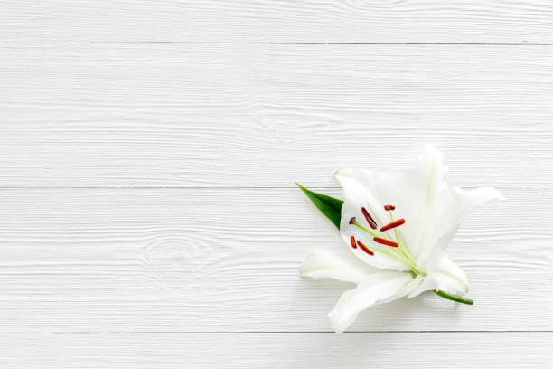 Condolence card with white flowers lily, from above Condolence card with white flowers lily, from above. memorial stock pictures, royalty-free photos & images