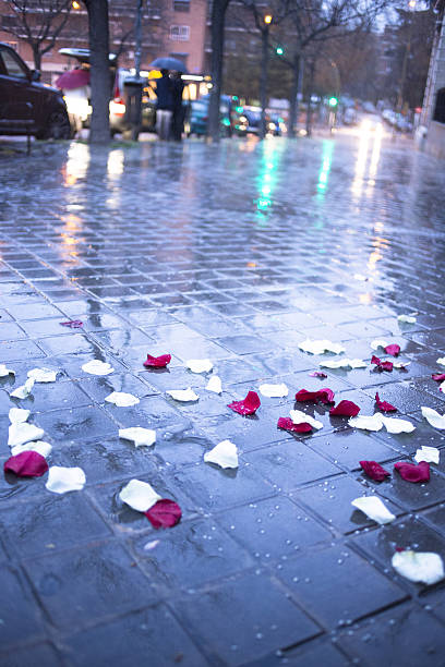 Confetti on the ground after wedding marriage ceremony in the rain in...