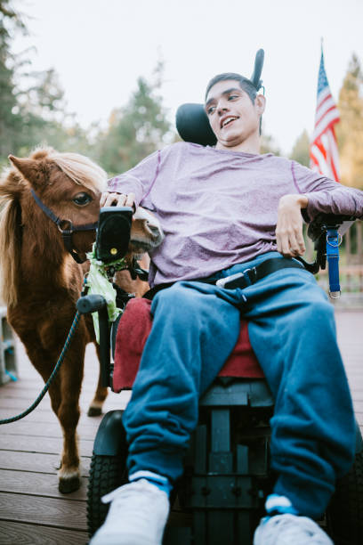 zuversichtlicher, junger mann im rollstuhl besucht therapie pferd - zerebralparese fotos stock-fotos und bilder