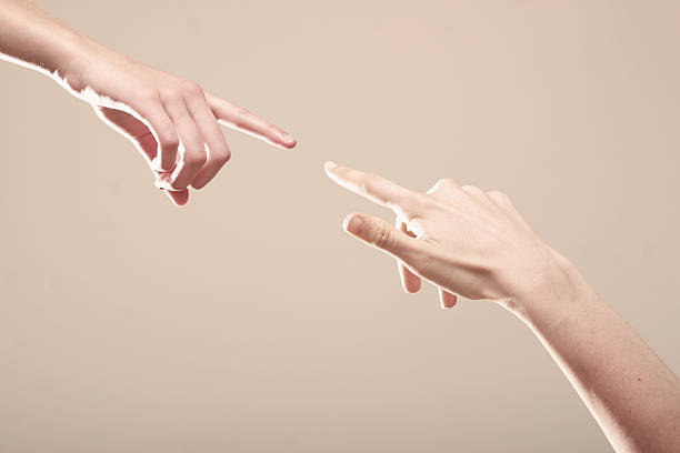 Connection - Two fingers about to Touch stock photo