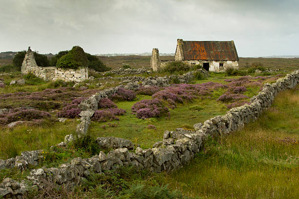 Connemara national park, Ireland Abandoned house in the southern part of Connemara (Conemara) National park in Ireland. Stone wall in foreground. Next to the house is an abandoned shed. connemara stock pictures, royalty-free photos & images