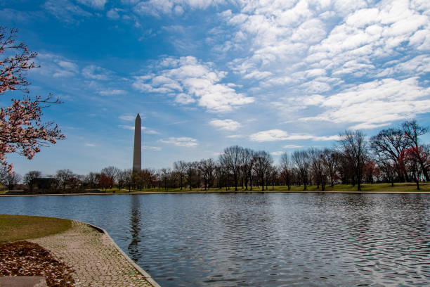 Constitution Gardens and the Washington Monument Lush landscape shots of Constitution Gardens with the Washington Monument in the background.  Constitution Gardens is on the Federal Mall near the World War II Memorial and the Viet Nam Memoral.. bowser stock pictures, royalty-free photos & images
