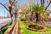 istock Constitution square in La Orotava, Tenerife, Canary islands, Spain 1309800319