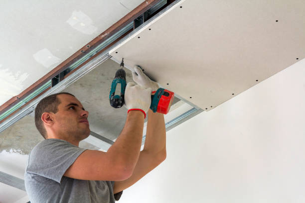 Construction worker assemble a suspended ceiling with drywall and fixing the drywall to the ceiling metal frame with screwdriver. stock photo