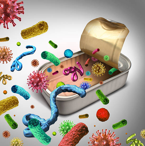 Contaminated Food Contaminated food concept and tainted meal poisoning symbol resulting in illness due to dangerous toxic bacteria parasites and viruse contaminants as salmonella and e coli as an open. listeria stock pictures, royalty-free photos & images