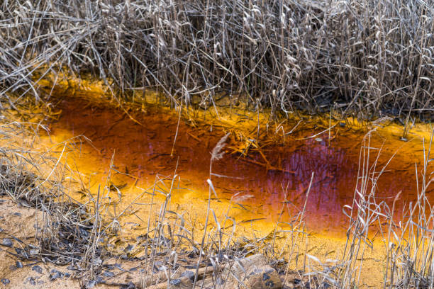Contaminated red, toxic water stream Contaminated red, toxic water stream. contamination stock pictures, royalty-free photos & images