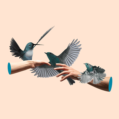 Freedom. Two hands touching, holding colibries while flying on pastel colored background. Copy space for ad, text. Modern design. Conceptual, contemporary bright artcollage. Summertime, fun mood.