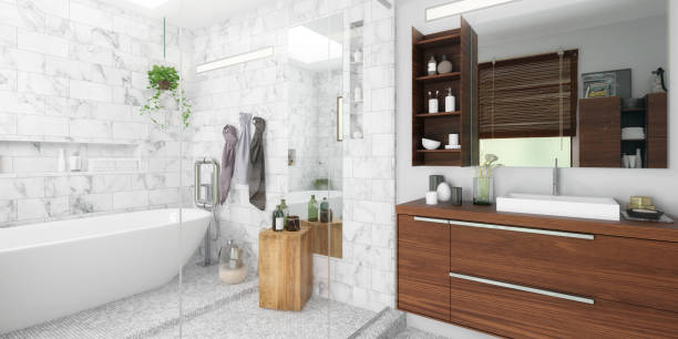Contemporary Bathroom Integration (panoramic) - 3d visualization stock photo