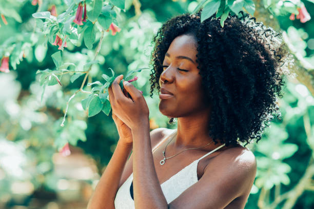 Content Black Woman Smelling Flowers in Park Closeup portrait of smiling young attractive African American woman smelling flowers with her eyes closed and standing in park smelling photos stock pictures, royalty-free photos & images