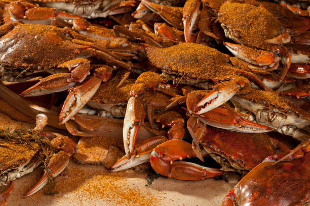Cooked crabs and Old Bay spices. A pile of cooked blue crabs covered in Old Bay spices and ready to be eaten. blue crab stock pictures, royalty-free photos & images