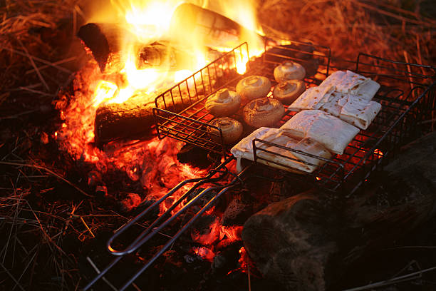 Cooking healthy food on fire in wilderness stock photo