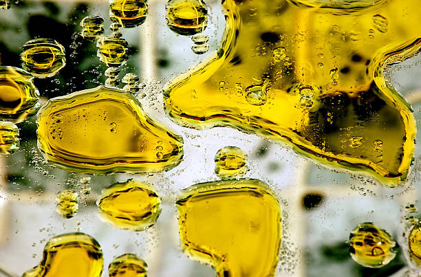 Cooking oil stock photo