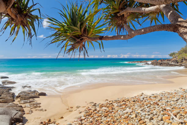 coolum beach op queensland de sunshine coast in australië - queensland stockfoto's en -beelden