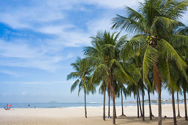copacabana beach, brazil stock photo