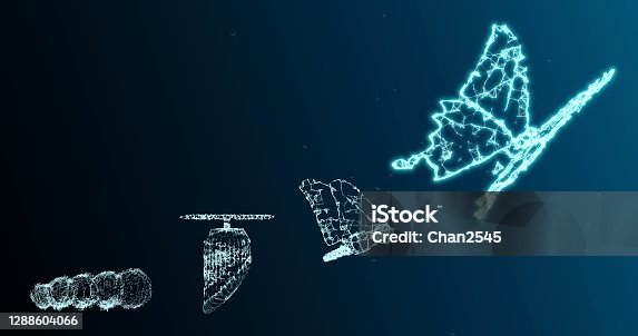 istock Copy space of abstract background with butterfly growth evolution transformation concept present develop in leadership management change in digital finance business innovation technology disruption 1288604066