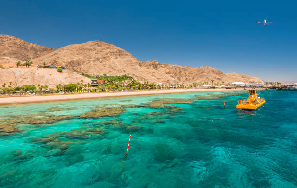Coral reefs is biodiversity of marine ecosystems untouched by human activities, Eilat, Israel stock photo