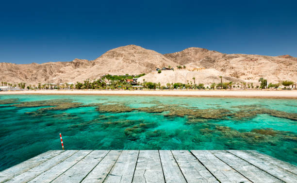 Coral reefs of the Red Sea and foreground of wooden footpath stock photo