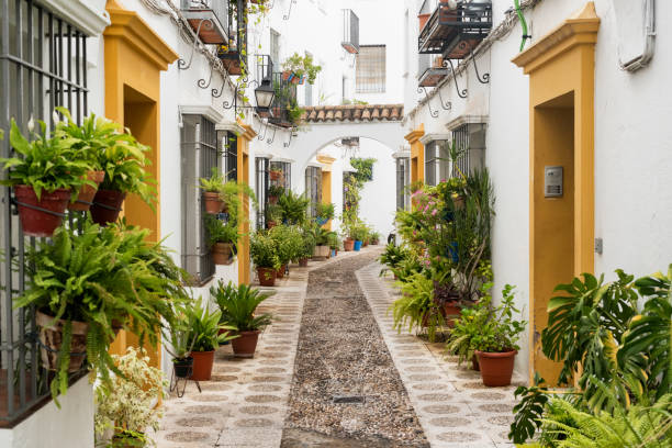 Cordoba (Andalucia, Spain): street Cordoba (Andalucia, Spain): old typical street in the Juderia cordoba spain stock pictures, royalty-free photos & images